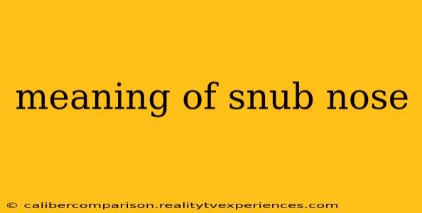 meaning of snub nose