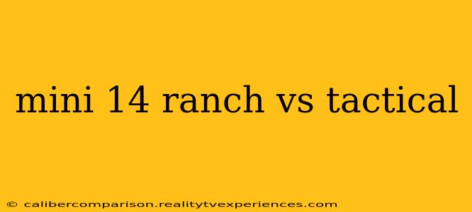 mini 14 ranch vs tactical