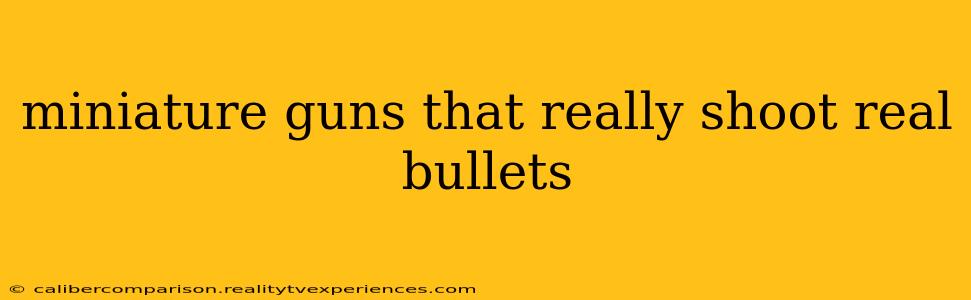 miniature guns that really shoot real bullets