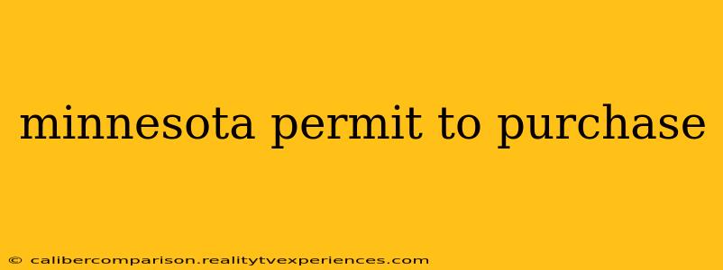 minnesota permit to purchase