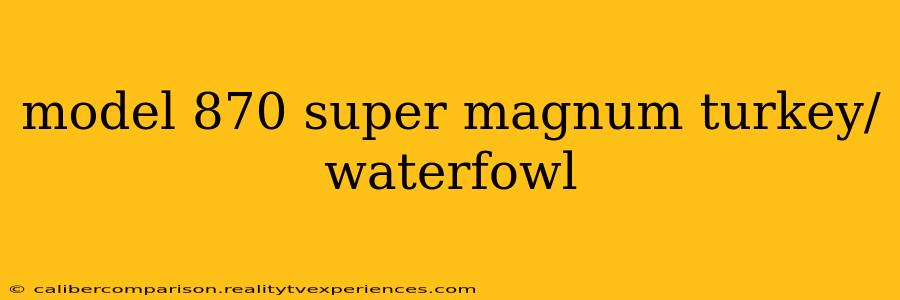 model 870 super magnum turkey/waterfowl