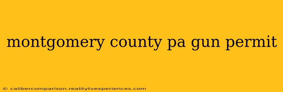 montgomery county pa gun permit