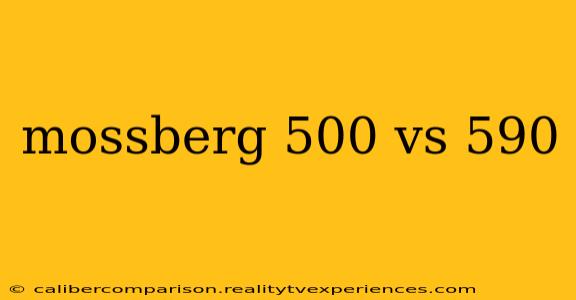 mossberg 500 vs 590