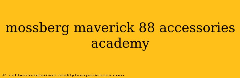 mossberg maverick 88 accessories academy