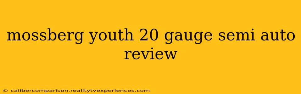 mossberg youth 20 gauge semi auto review