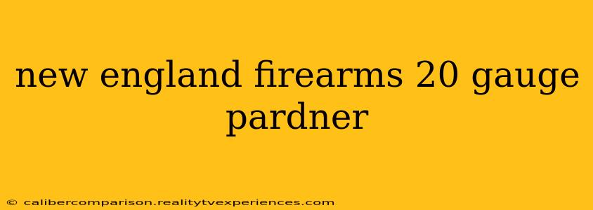 new england firearms 20 gauge pardner