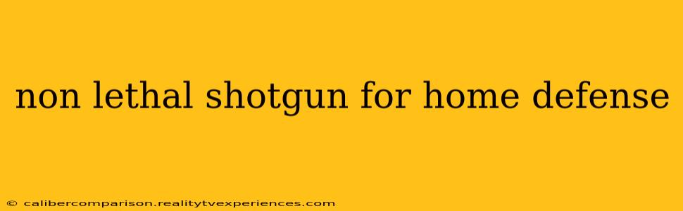 non lethal shotgun for home defense