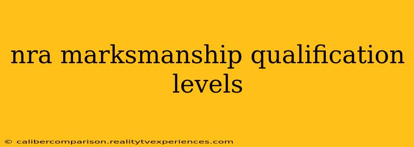 nra marksmanship qualification levels