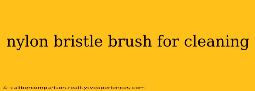 nylon bristle brush for cleaning