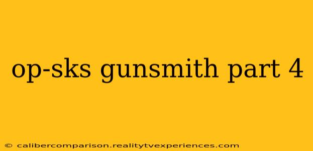 op-sks gunsmith part 4