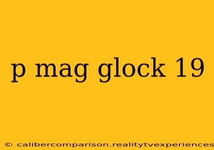 p mag glock 19