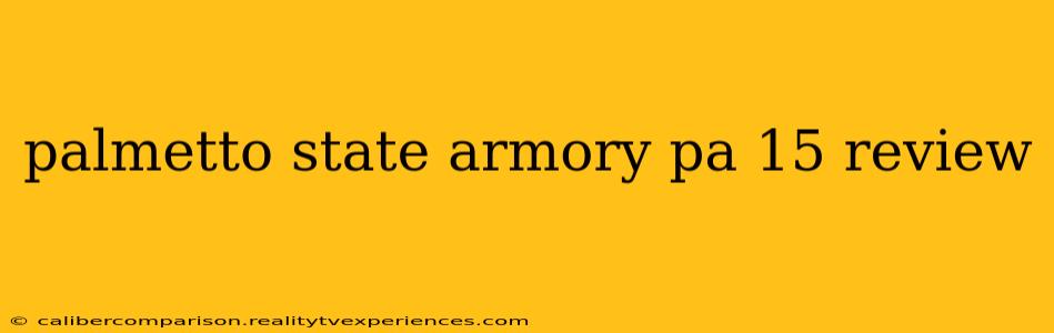 palmetto state armory pa 15 review