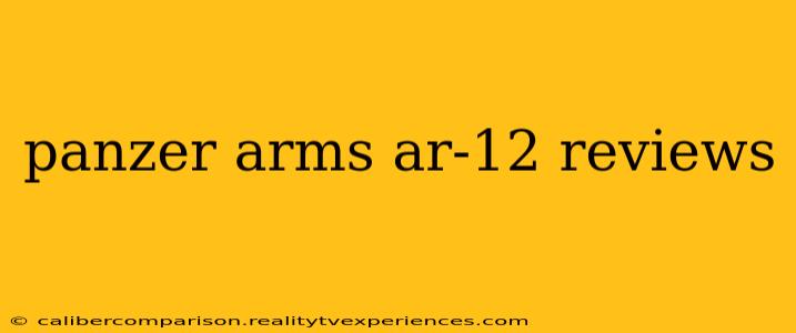 panzer arms ar-12 reviews