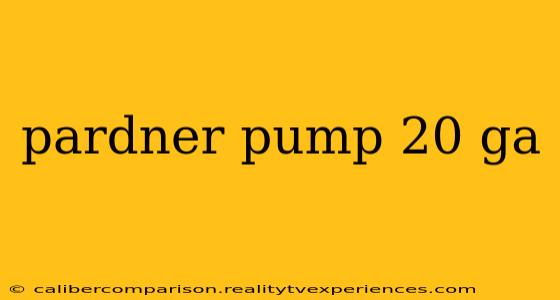 pardner pump 20 ga