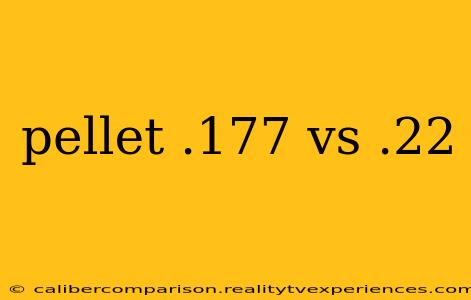 pellet .177 vs .22