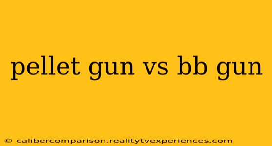 pellet gun vs bb gun