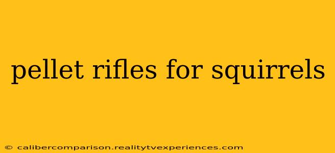 pellet rifles for squirrels