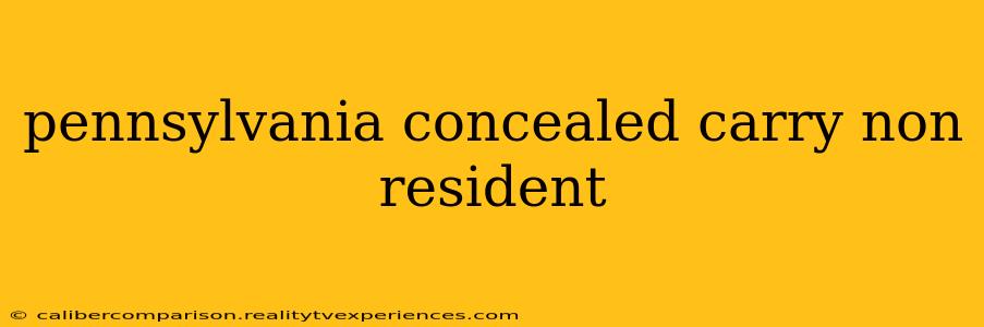 pennsylvania concealed carry non resident