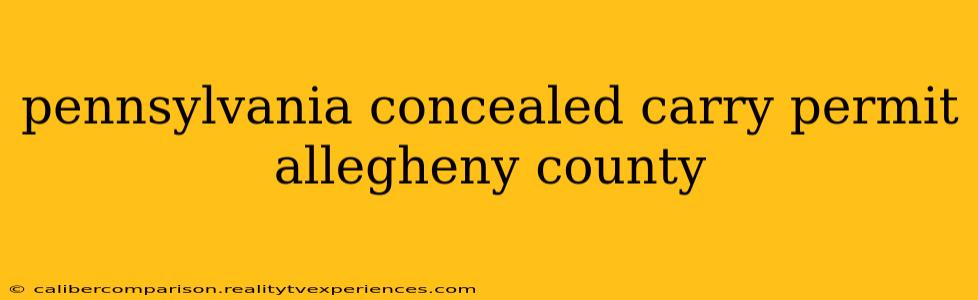 pennsylvania concealed carry permit allegheny county