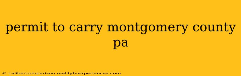 permit to carry montgomery county pa