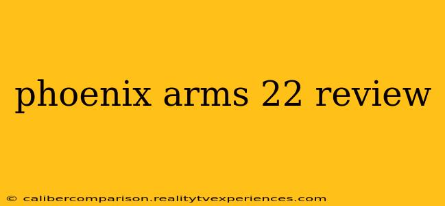 phoenix arms 22 review