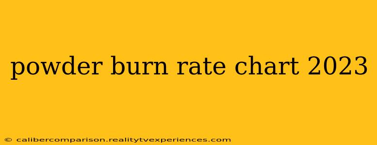 powder burn rate chart 2023