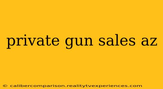 private gun sales az