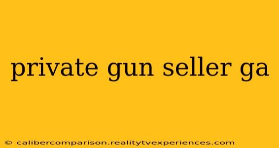 private gun seller ga