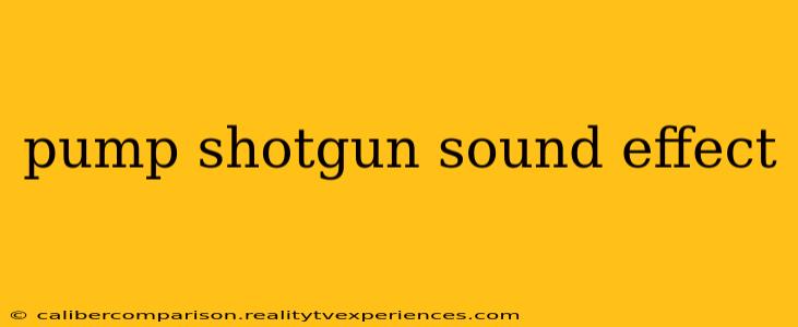 pump shotgun sound effect