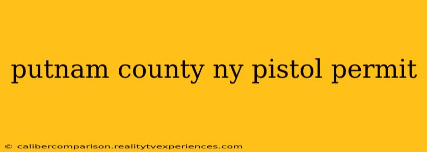 putnam county ny pistol permit