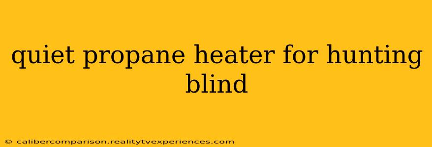 quiet propane heater for hunting blind