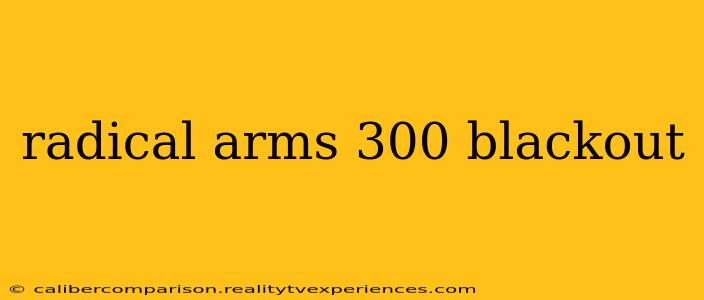 radical arms 300 blackout