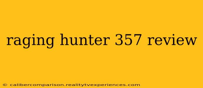 raging hunter 357 review