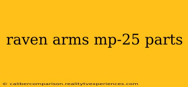 raven arms mp-25 parts