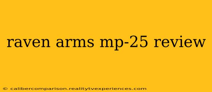 raven arms mp-25 review