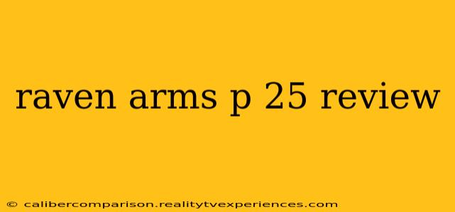 raven arms p 25 review