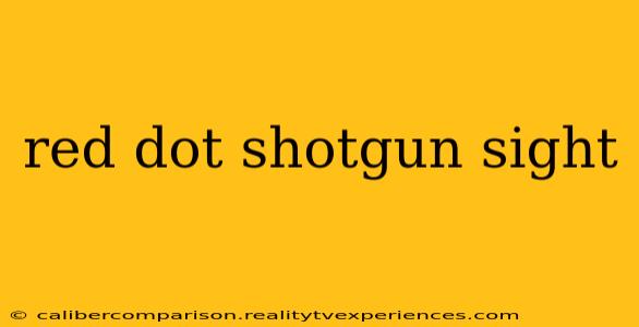 red dot shotgun sight