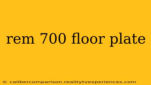 rem 700 floor plate