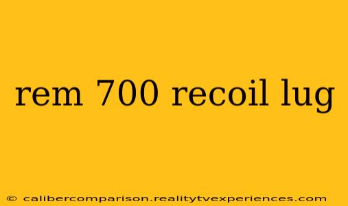 rem 700 recoil lug