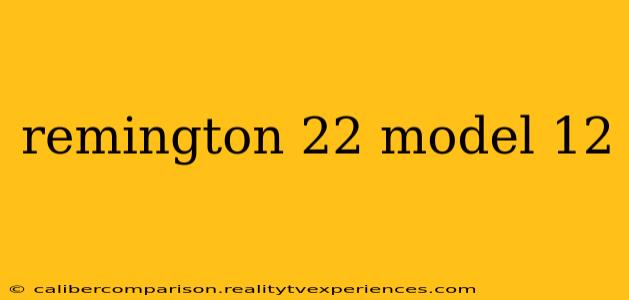 remington 22 model 12