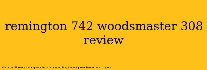 remington 742 woodsmaster 308 review