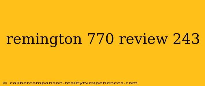 remington 770 review 243