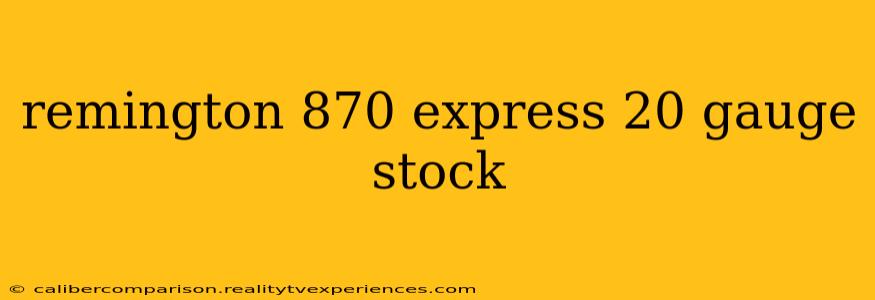 remington 870 express 20 gauge stock