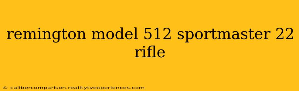 remington model 512 sportmaster 22 rifle