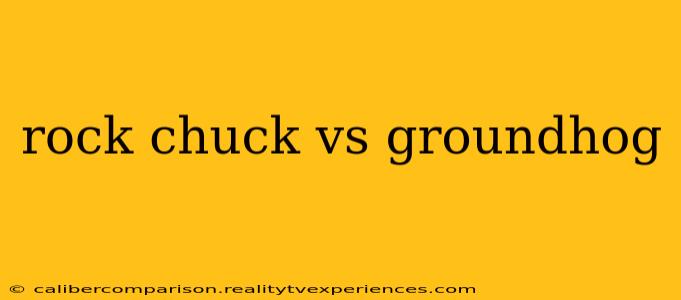 rock chuck vs groundhog