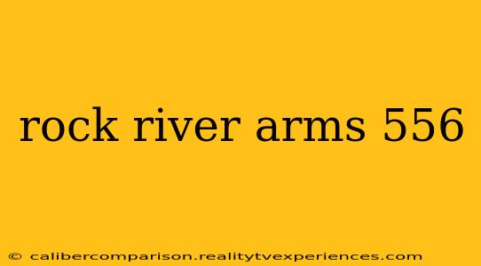 rock river arms 556