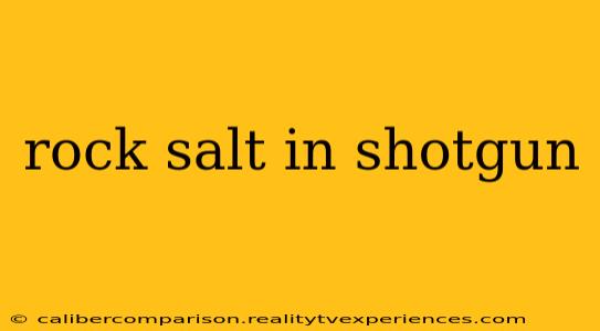 rock salt in shotgun