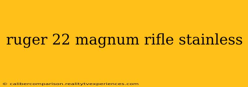 ruger 22 magnum rifle stainless