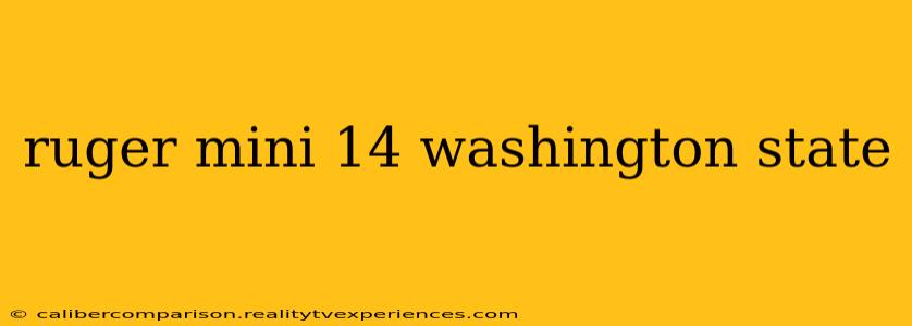 ruger mini 14 washington state