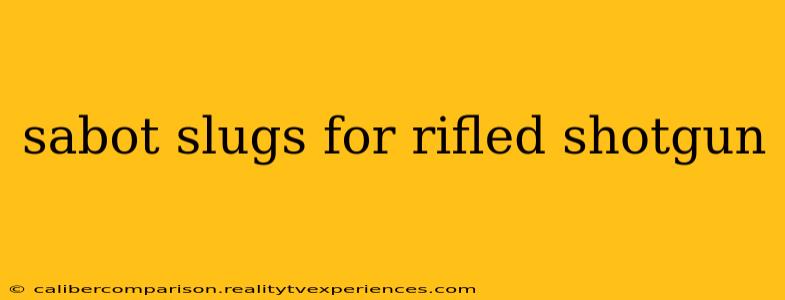 sabot slugs for rifled shotgun